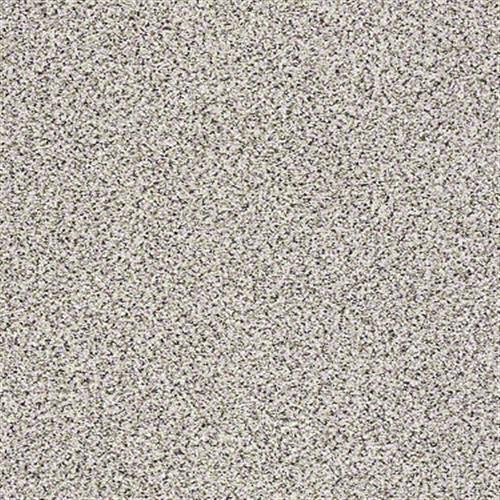 Enrich I in Kodiak - Carpet by Shaw Flooring