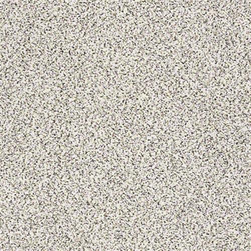 Enrich I in Genteel - Carpet by Shaw Flooring
