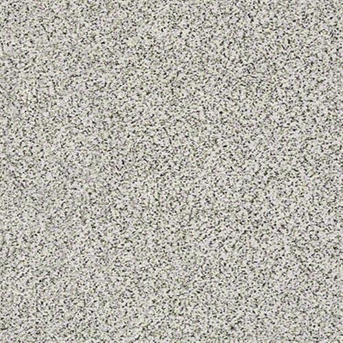 Enrich I in Nutria - Carpet by Shaw Flooring