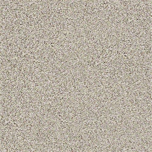 Enrich I in Oats - Carpet by Shaw Flooring