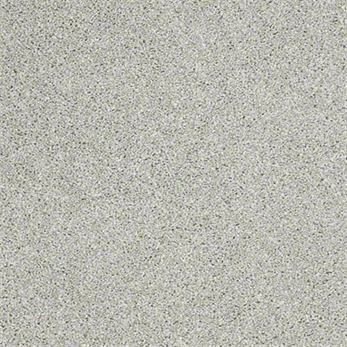 Blown Away in Silver Shadow - Carpet by Shaw Flooring