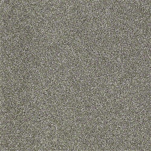 Blown Away in Granite - Carpet by Shaw Flooring