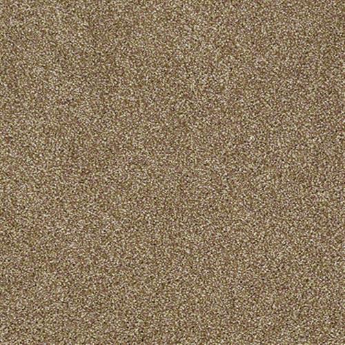 Blown Away in Toffee - Carpet by Shaw Flooring
