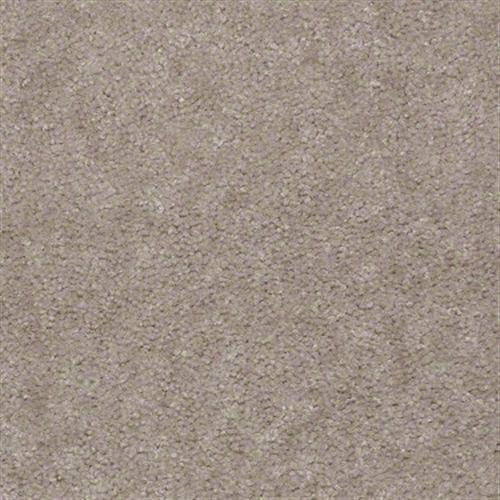 Chapparral by Shaw Industries - Greg's Taupe