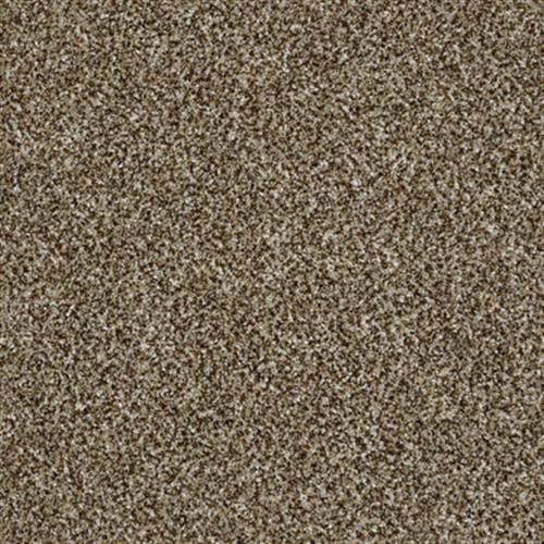 AFTON FLECK Bits Of Brown 00200