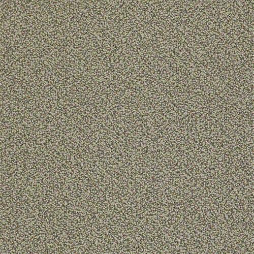 Garner Epbl Inv in Cull - Carpet by Shaw Flooring