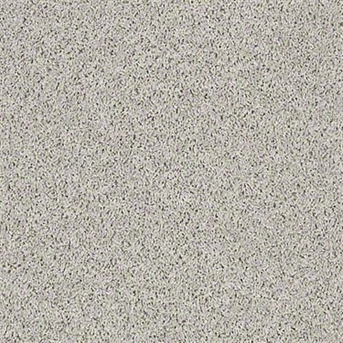 Costello II in Stucco - Carpet by Shaw Flooring