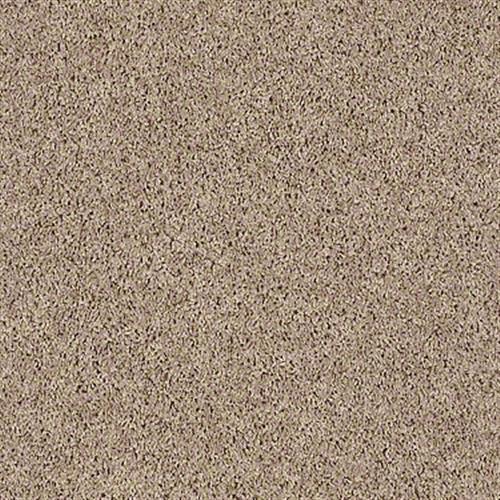 Costello II in Earth Tone - Carpet by Shaw Flooring
