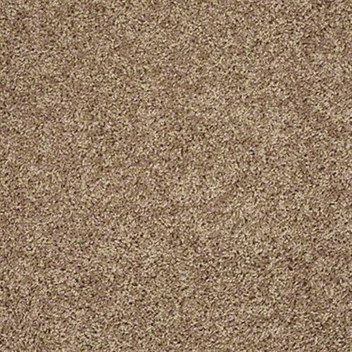 Shaw Industries Bx100 Pebble Carpet Murrells Inlet, SC Flooring Plus
