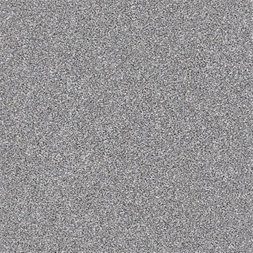 XZ164 Arctic Shadow 00521