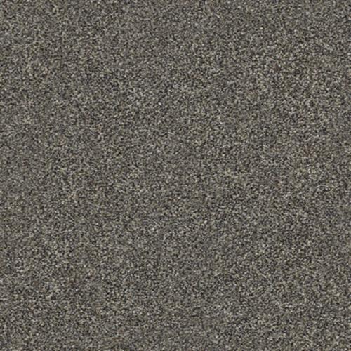 Four Winds Plus in Tundra - Carpet by Shaw Flooring
