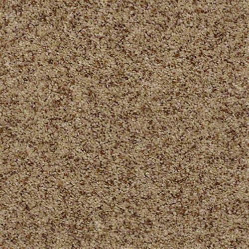 Shaw Industries Born Better (T) Mesquite Carpet - San Antonio, Texas - CRT  Flooring