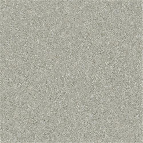 Discoveries in Harbor Fog - Carpet by Shaw Flooring