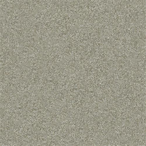 Discoveries in Woodwind - Carpet by Shaw Flooring