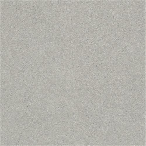 Discoveries in Silver Charm - Carpet by Shaw Flooring