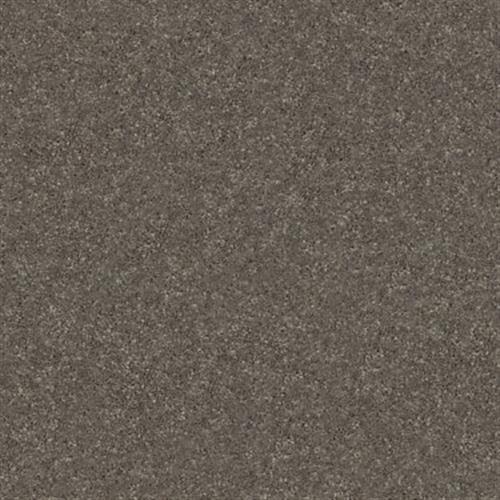 Discoveries in Earth Tone - Carpet by Shaw Flooring