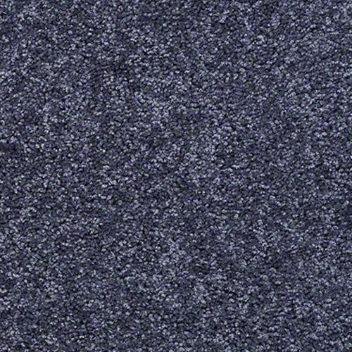 On The Horizon in Blueberry Tart - Carpet by Shaw Flooring