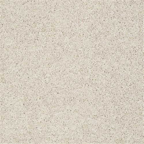 Enlivened I in Pearlized - Carpet by Shaw Flooring