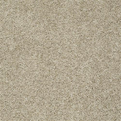 Enlivened I in Plymouth Rock - Carpet by Shaw Flooring