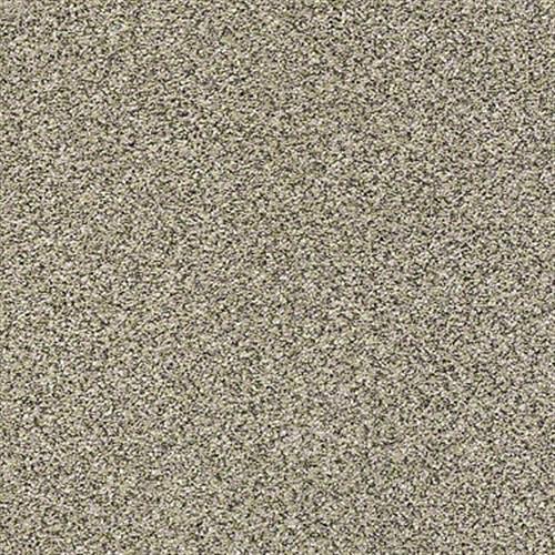 Exemplary in Desert - Carpet by Shaw Flooring