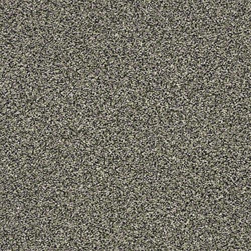 Exemplary in Mushroom - Carpet by Shaw Flooring