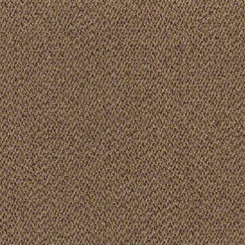 Price Check in Chocolate Pie - Carpet by Shaw Flooring