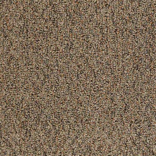 Stoney Path Inv in Cinnamon Toast - Carpet by Shaw Flooring
