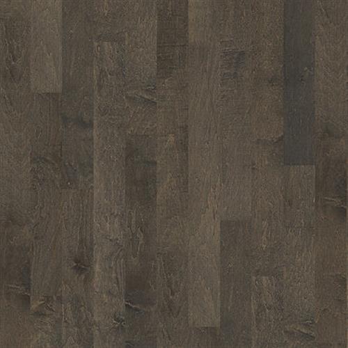 Burlington Maple II by Shaw Industries - Charcoal