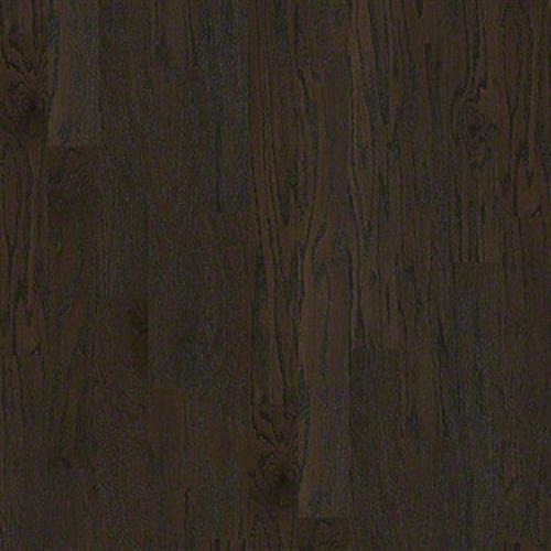 All In II 5 Coffee Bean 00938
