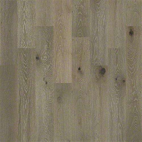 Blue Springs Oak by Shaw Industries - Palisade