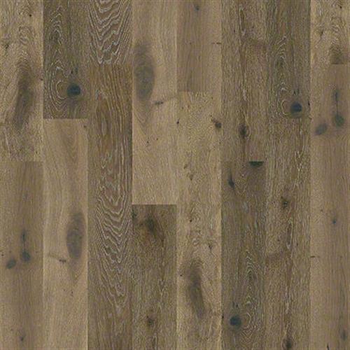 Blue Springs Oak by Shaw Industries - Baroque