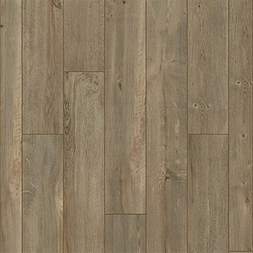 Mesa Verde Oak
