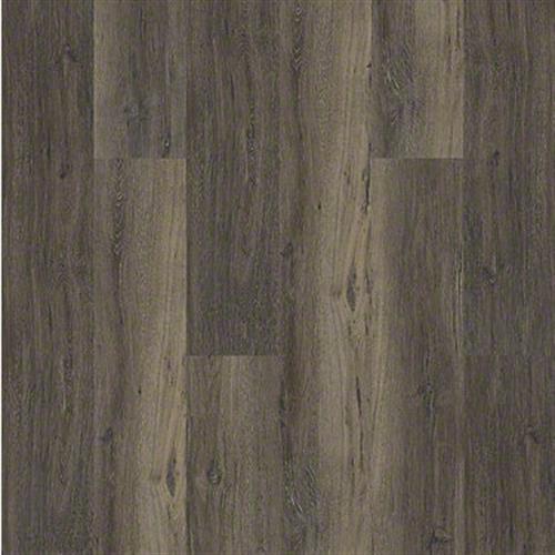 AGED OAK 720C PLUS Upland Oak 00795