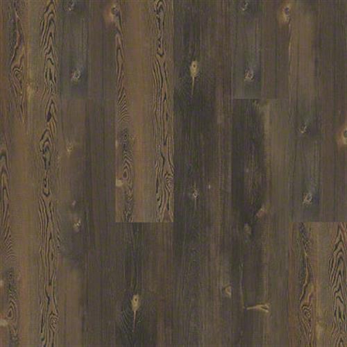 Forest Pine