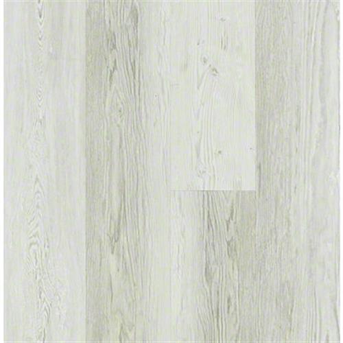 Century Pine