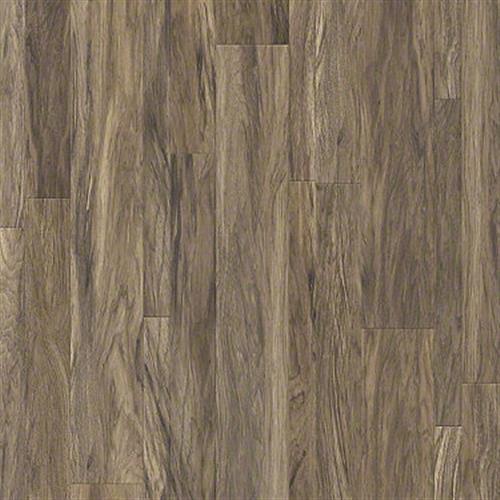 Lombardy Hickory