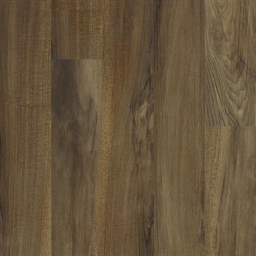 Torino Plank by Shaw Industries - Verona