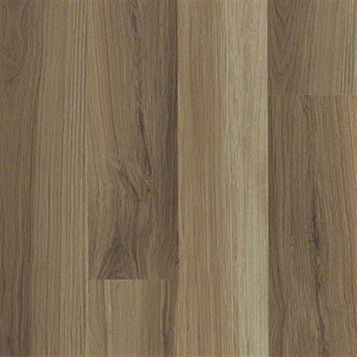 Bravo Hazel Oak 00762