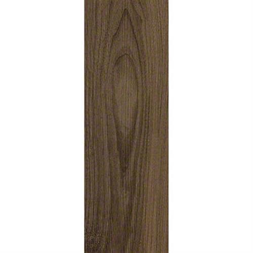 Driftwood Beech