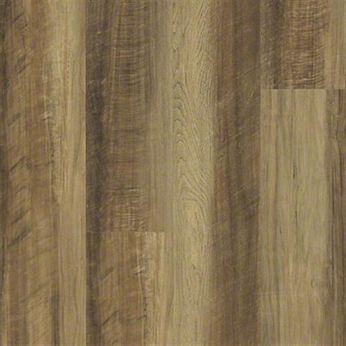 Tawny Oak