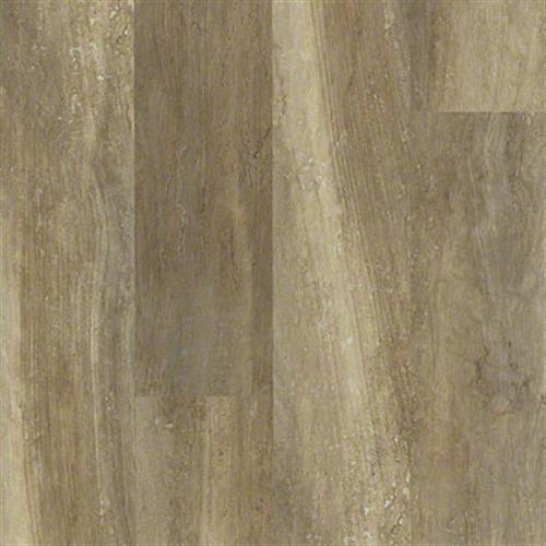 Tan Oak