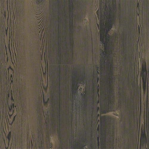 Harvest Pine