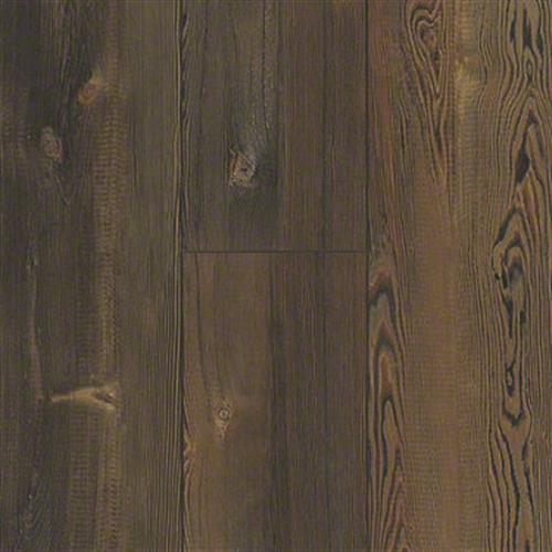 Forest Pine
