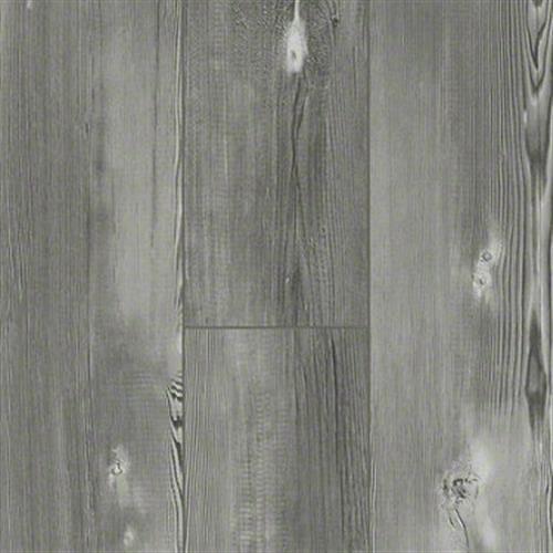 Longleaf Pine