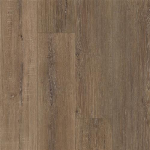 Shaw Industries Tenacious HD+ Accent Bamboo Waterproof