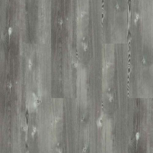 Longleaf Pine