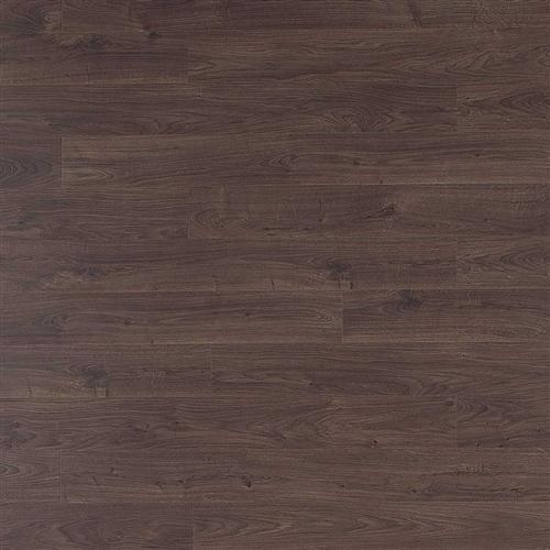 Aged Carob Oak