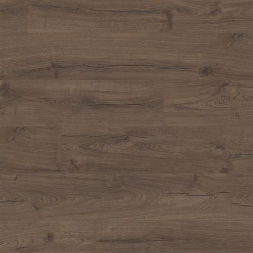 Masion Oak