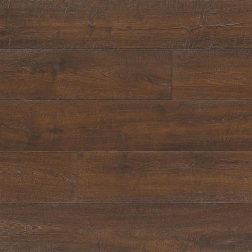 Dutch Oak