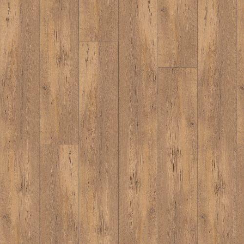 Sandstorm Pine